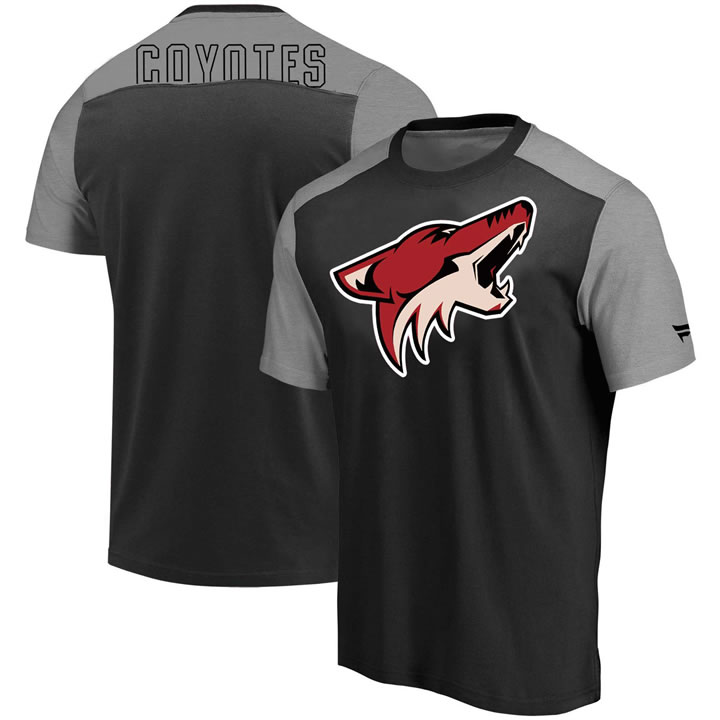 Arizona Coyotes Fanatics Branded Iconic Blocked T-Shirt Black Heathered Gray,We sell and wholesale Arizona Coyotes Fanatics Branded Iconic Blocked T-Shirt Black Heathered Gray on line form chian!